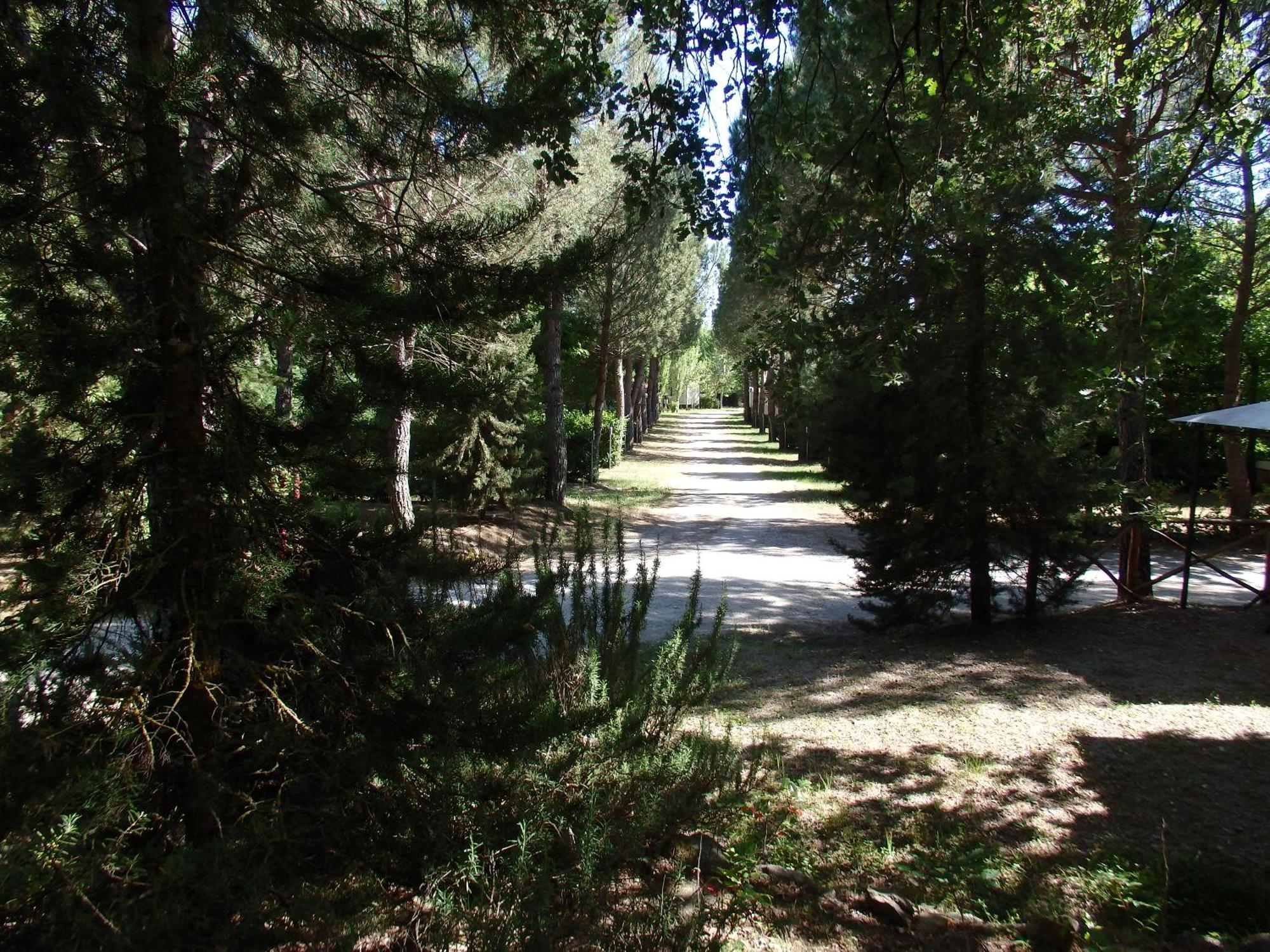 Camping Village La Chiocciola Capannole Экстерьер фото